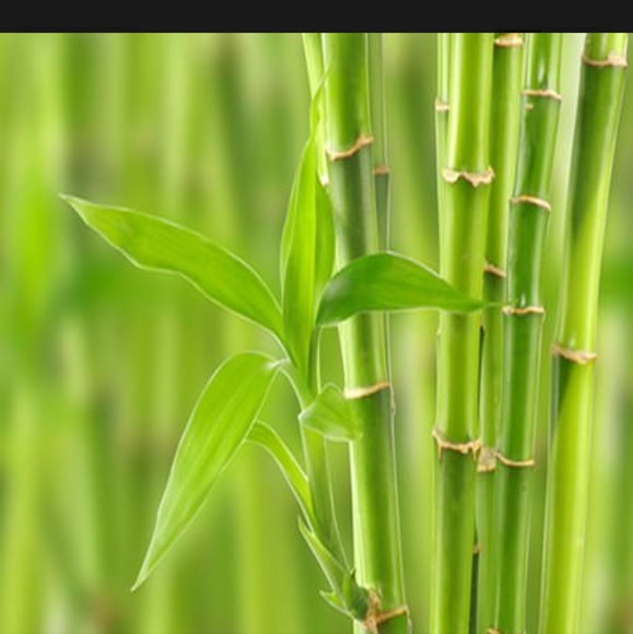 Box Of 1oz. & 2oz. Fragrance Oils For Soap & Candle Making (35 Full Bottles) - Picture 9 of 16